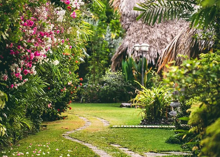 Kariwak Wellness Village, Hotel And Holistic Haven